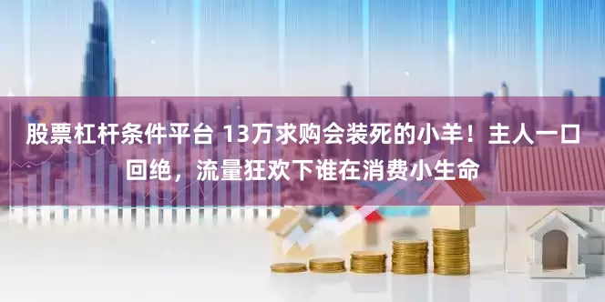 股票杠杆条件平台 13万求购会装死的小羊！主人一口回绝，流量狂欢下谁在消费小生命