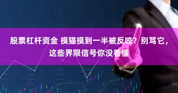 股票杠杆资金 摸猫摸到一半被反咬？别骂它，这些界限信号你没看懂